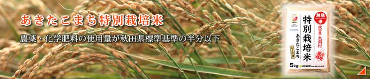 農薬・化学肥料の使用量が秋田県標準基準の半分以下 特別栽培米