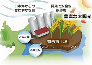 公社独自の「今摺りシステム」